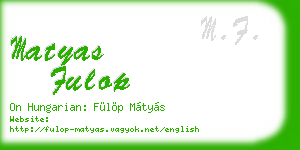 matyas fulop business card